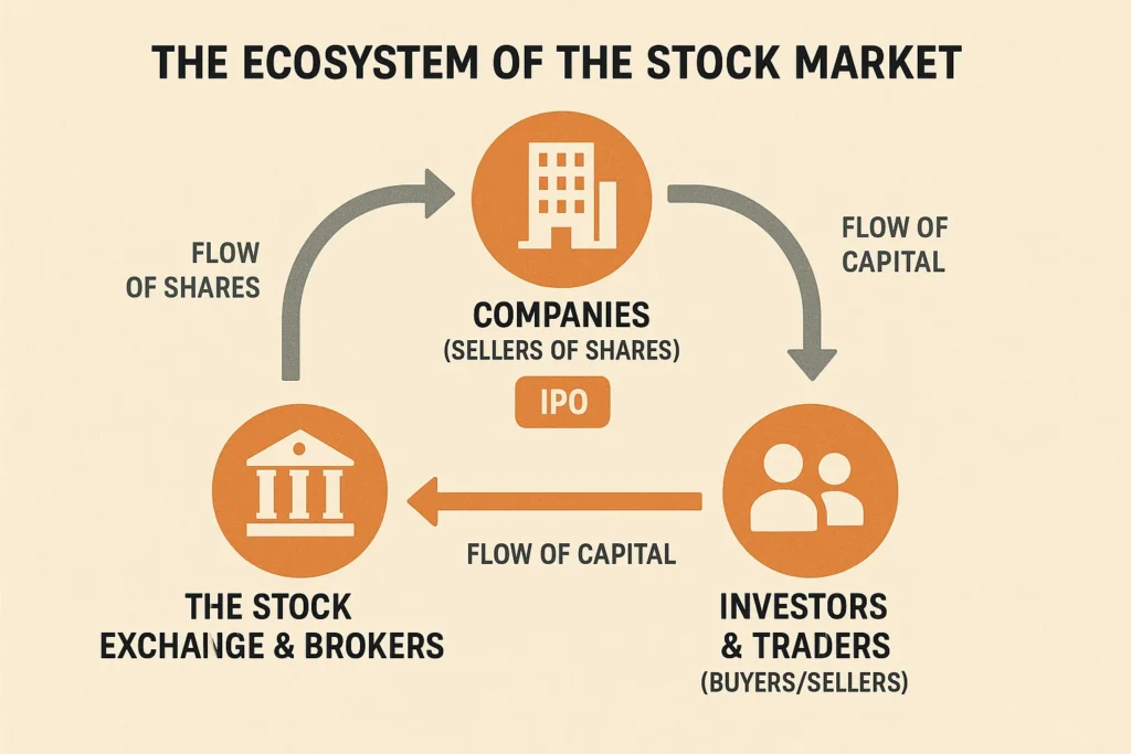 Stock Market Ecosystem