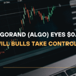 Algorand (ALGO) Eyes $0.33 Target Will Bulls Take Control