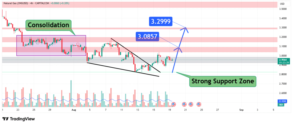 Natural Gas Price Analysis