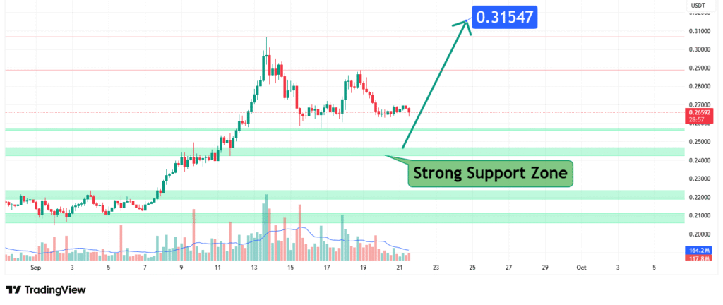 Dogecoin Price Analysis