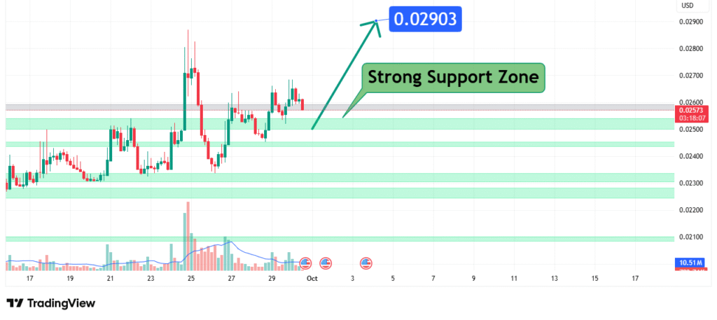 Flare Price Analysis