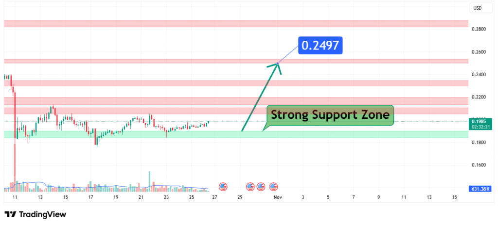 Polygon Price Analysis
