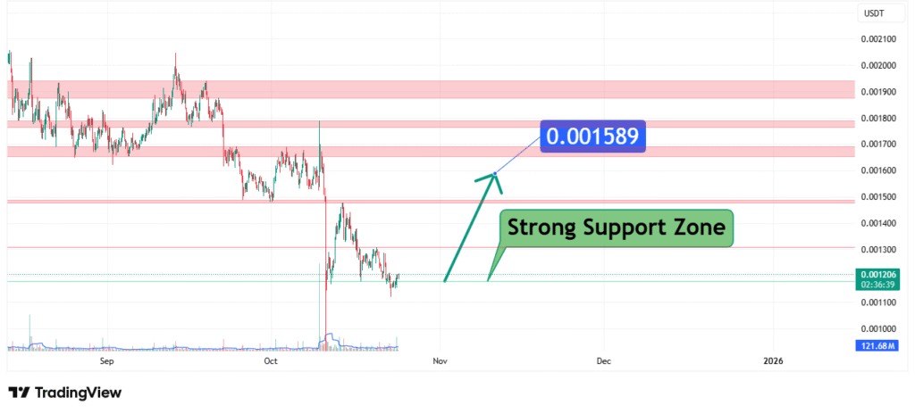 SLP Price Analysis