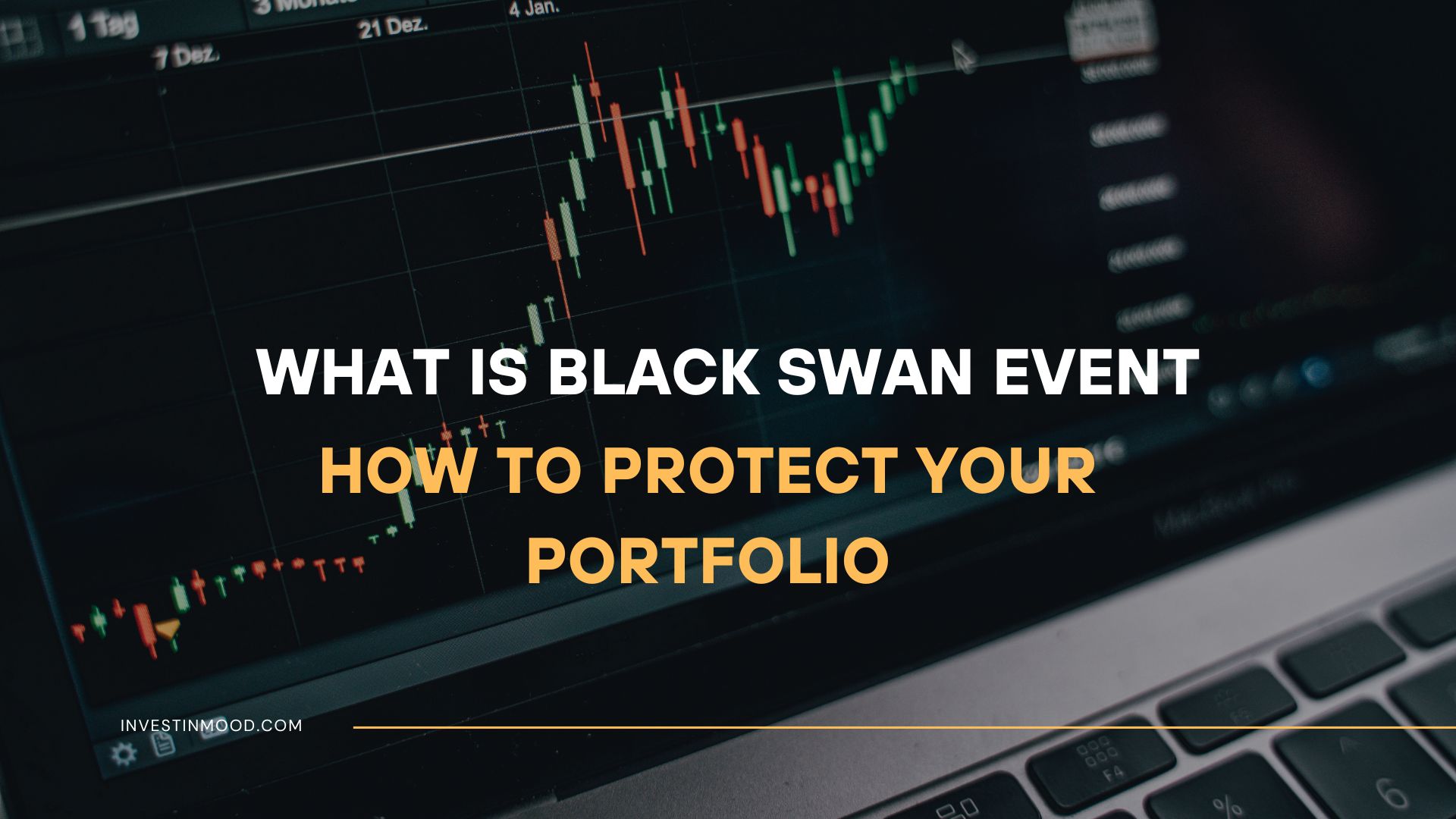 What Is Black Swan Event, How to Protect Your Portfolio