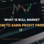 What Is Bull Market and How to Earn Profit From It