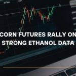 Corn Futures Rally on Strong Ethanol Data, Analysis & Target